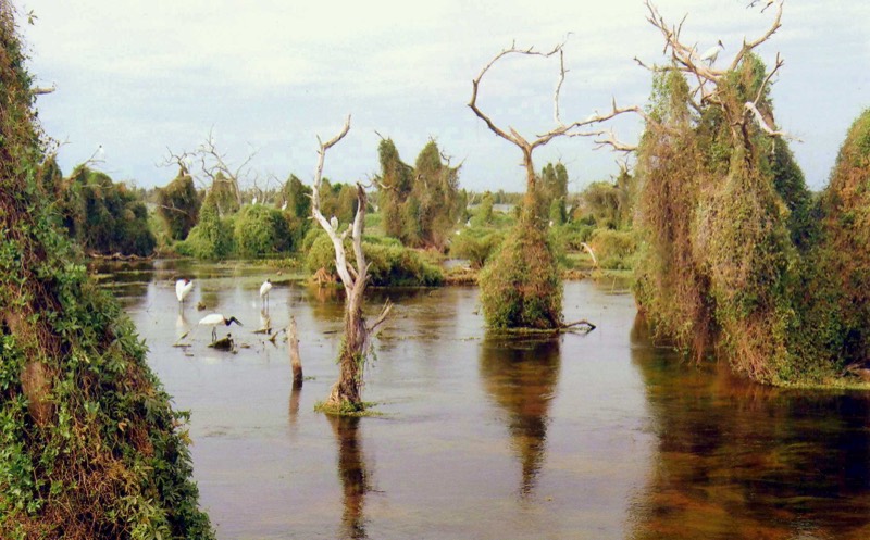 Vista de Formosa, Argentina